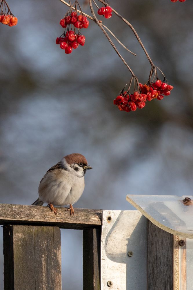 Photograph by Donatas