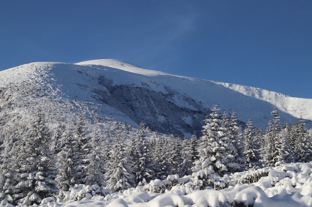 Фотография автора Андрій Лучишин