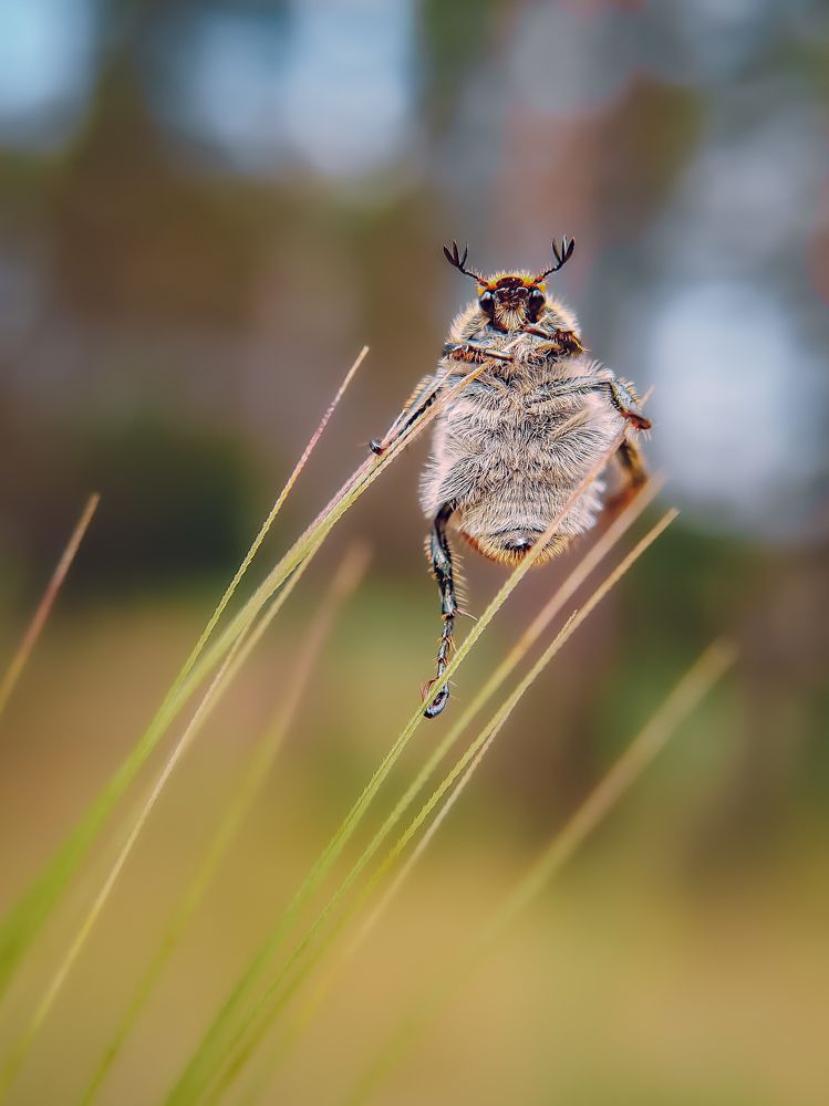 Photograph by Сергей Колос