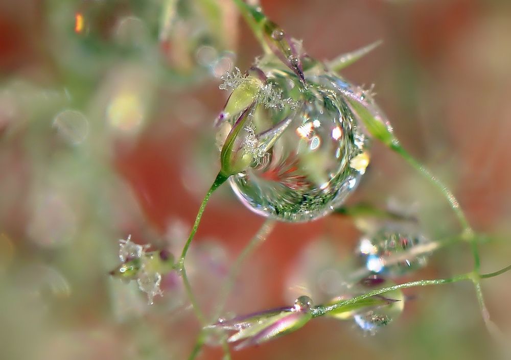 Photograph by Любовь Саханова