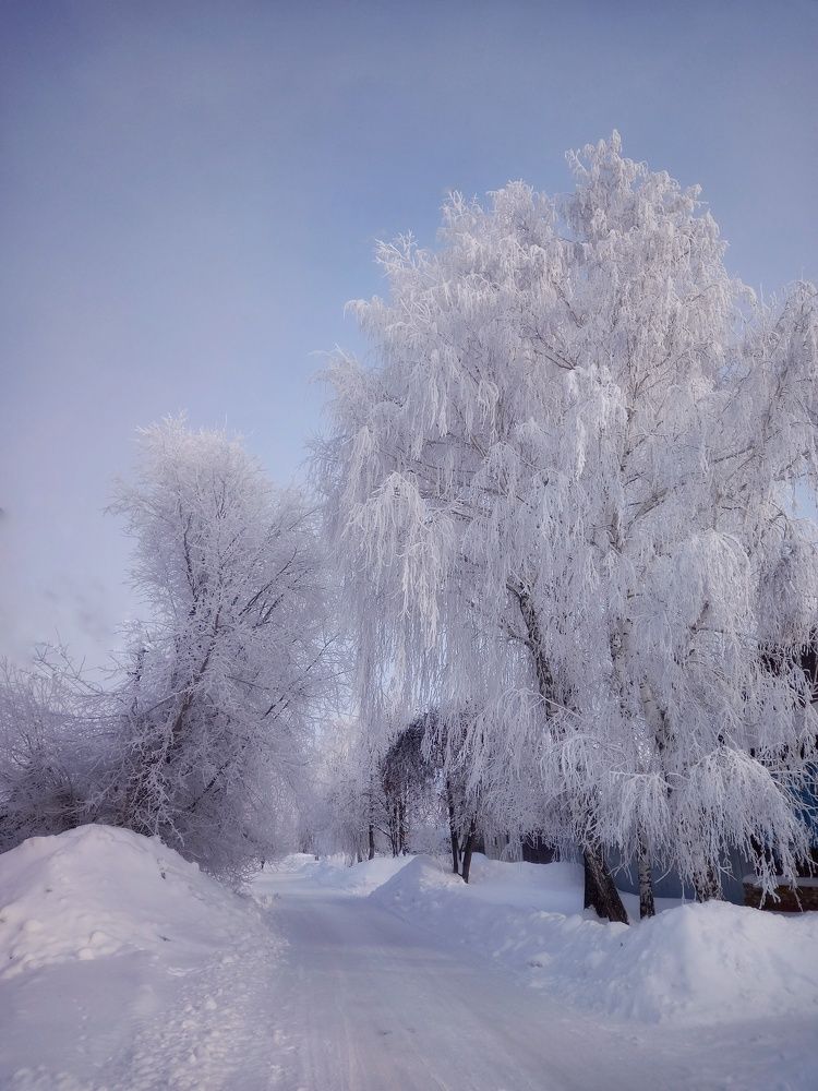 Photograph by Гульжан Шарипова