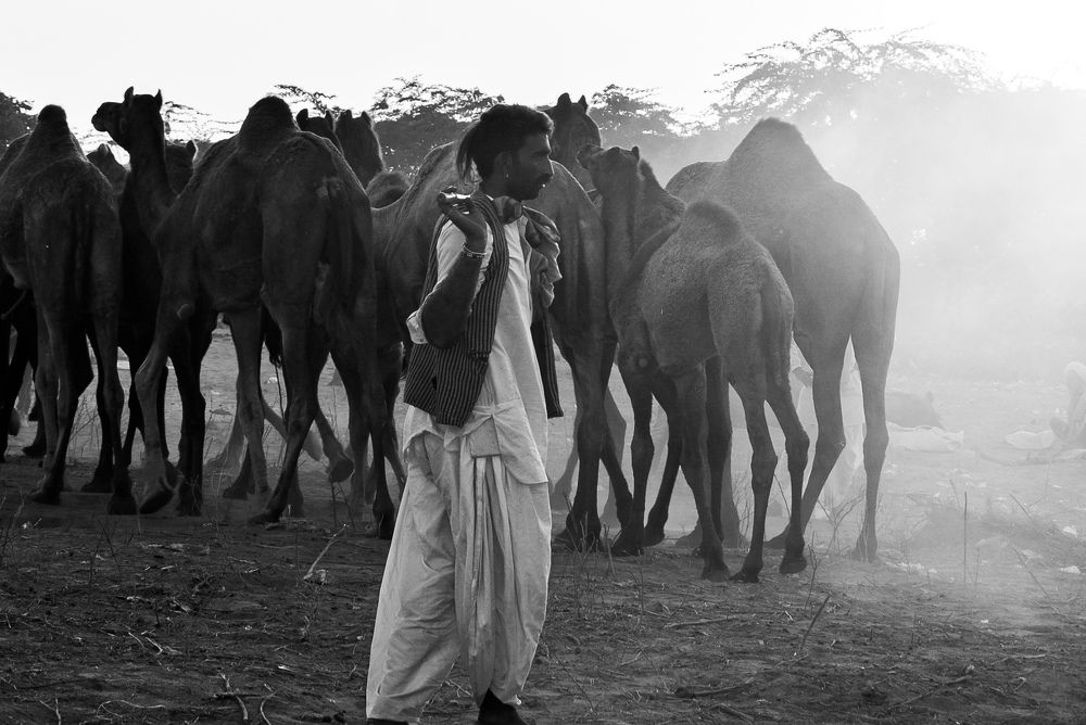 Photograph by Siddharth Jain