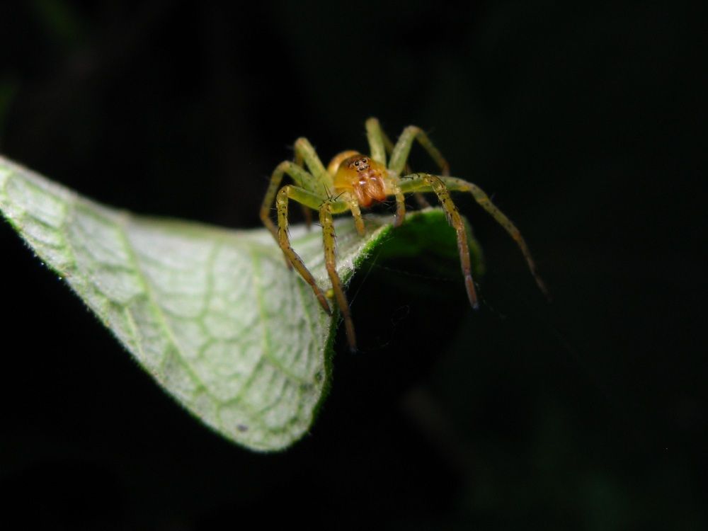 Photograph by Александр Базарный