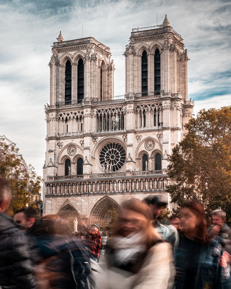 Movement in Notre Dame