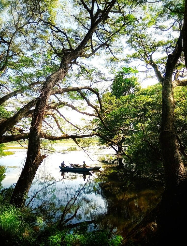 Photograph by Anuradha s Herath