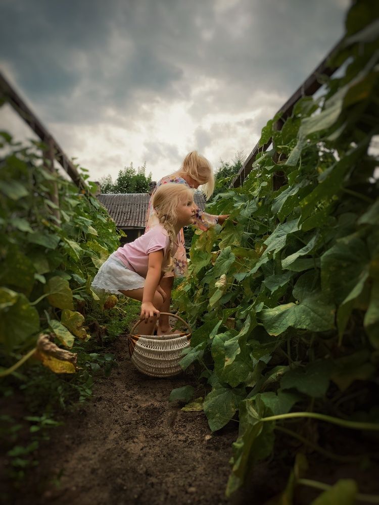 Photograph by Вероника Алексашова