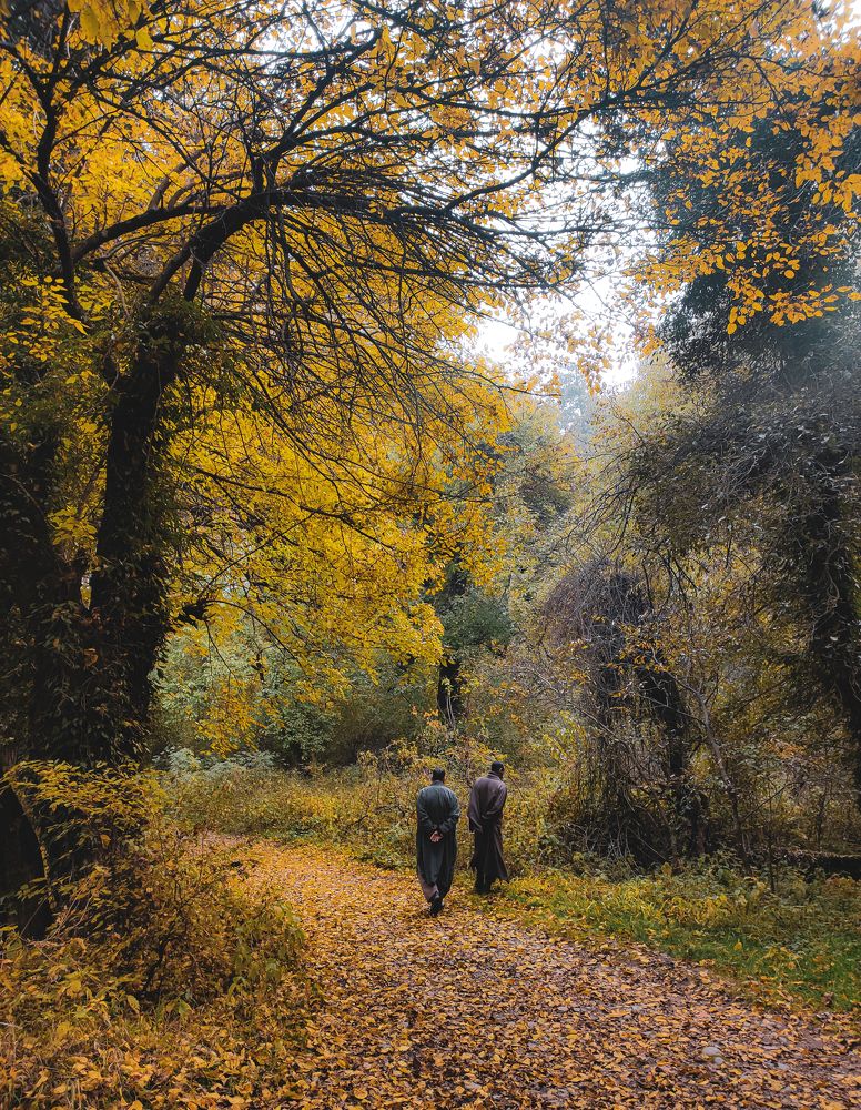 Photograph by Aabid Bhat