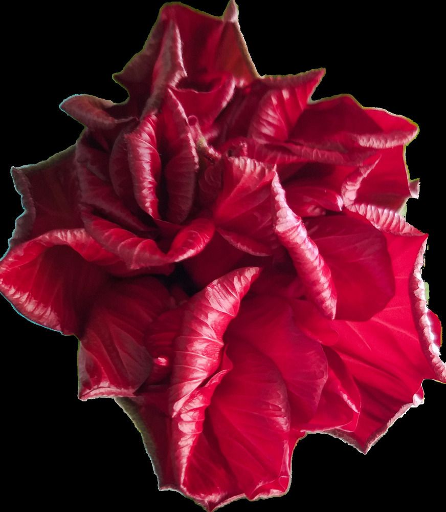 Photograph by Светлана Середина