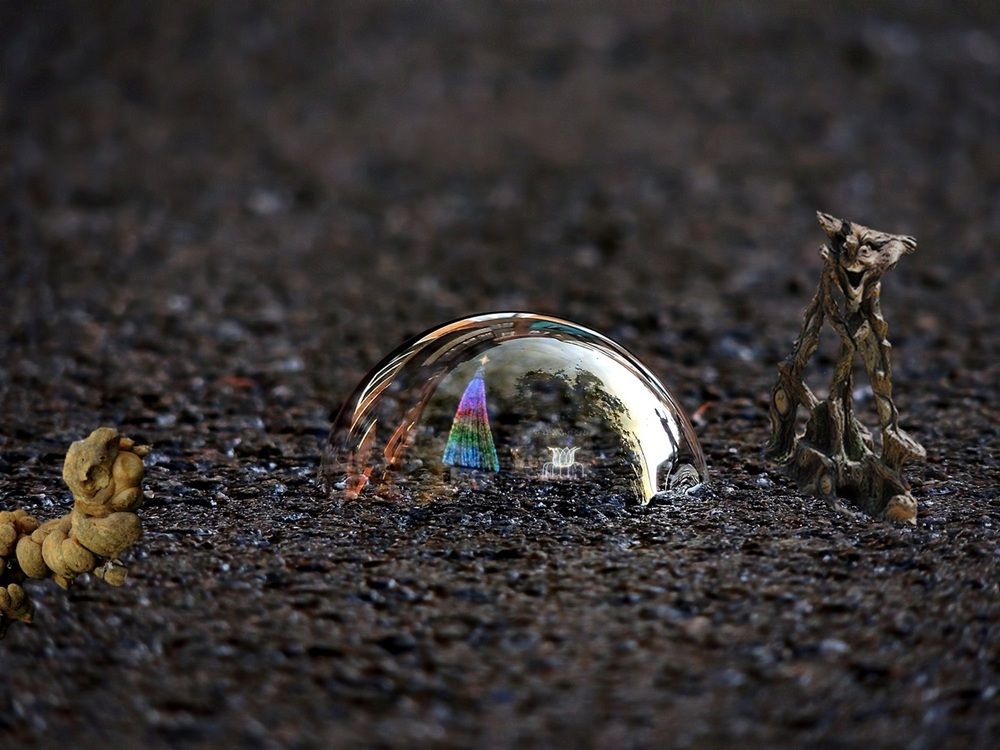 Фотография автора Роман Савоцкий