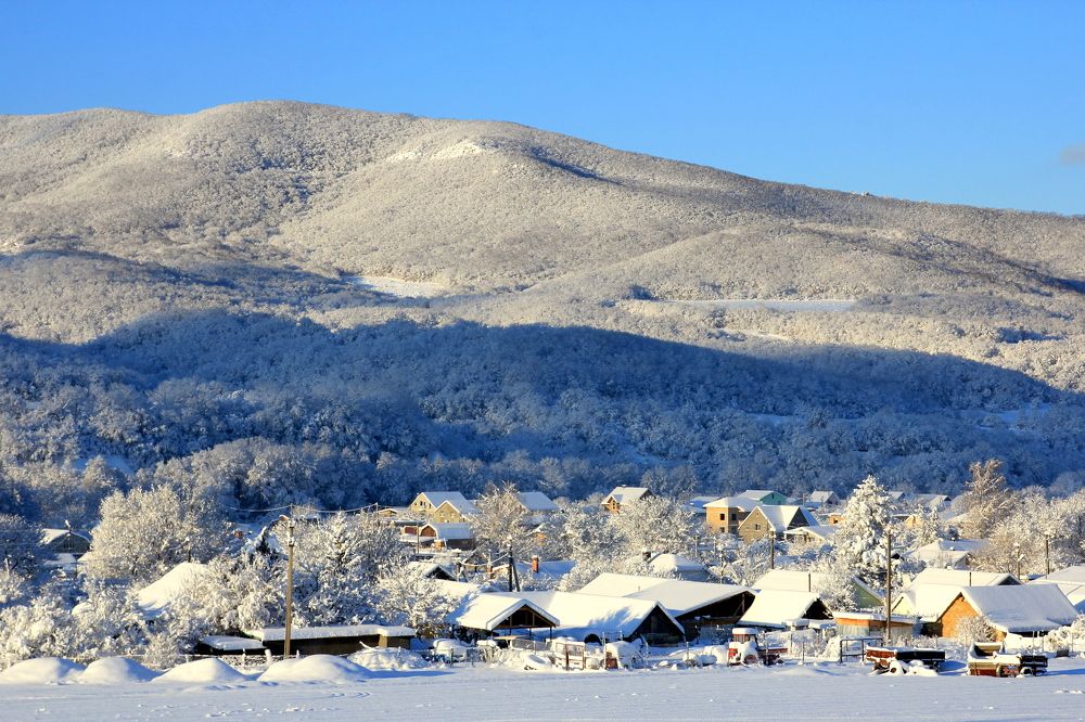 Photograph by Евгения Загудаева