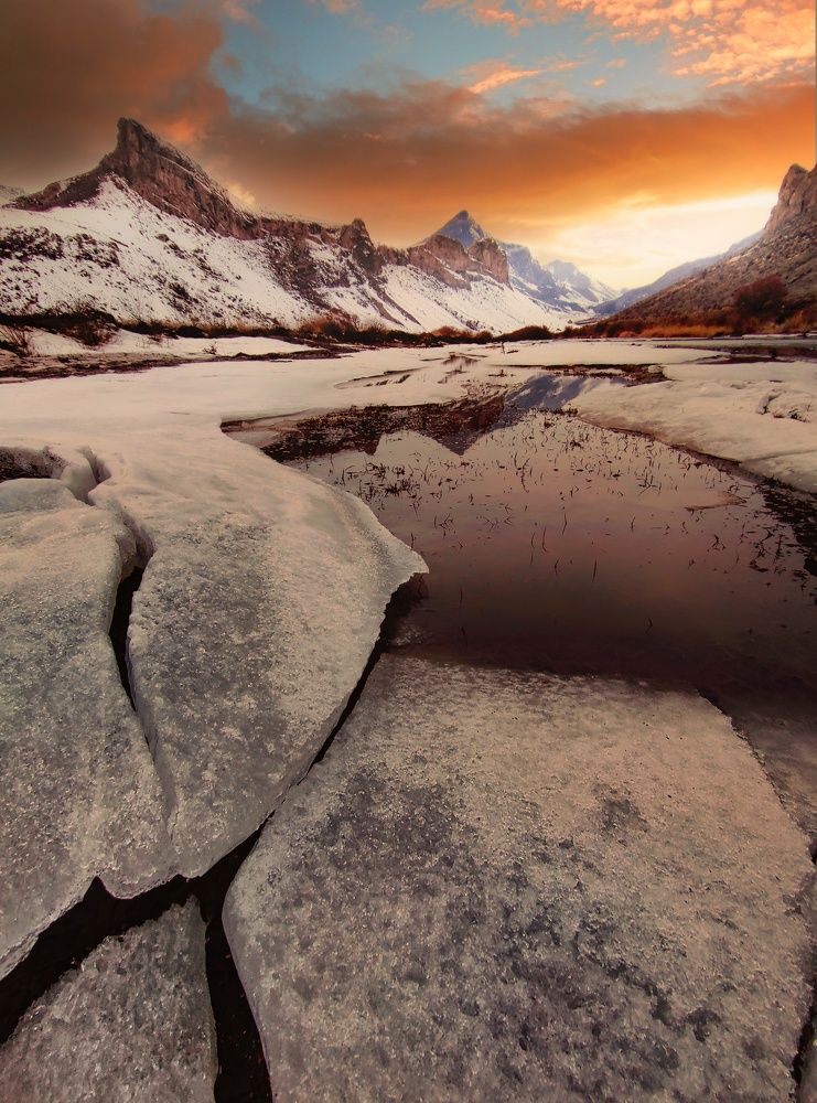 Photograph by Ali goreishi