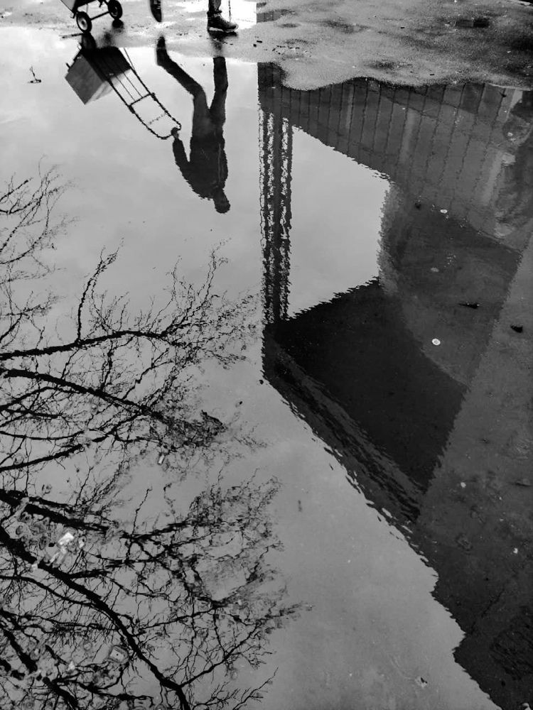 Photograph by Natalia