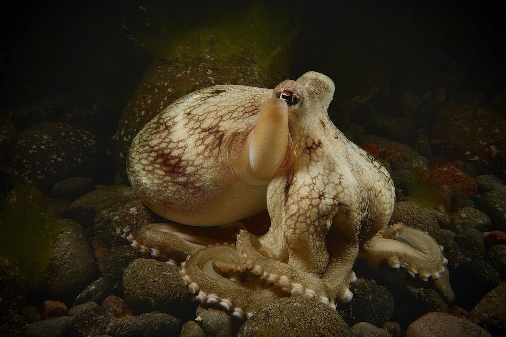 Photograph by Антонина