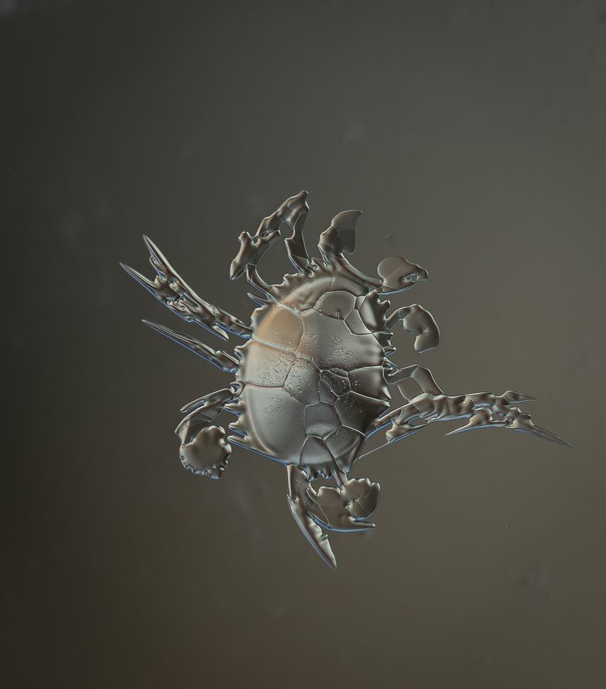 Photograph by Марина Новожилова