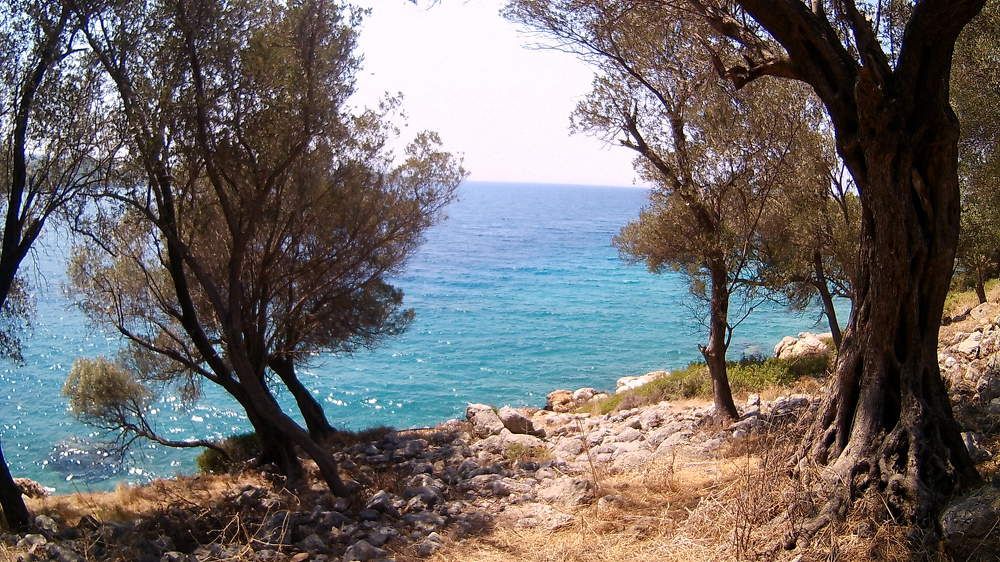Photograph by Ольга Рыкова