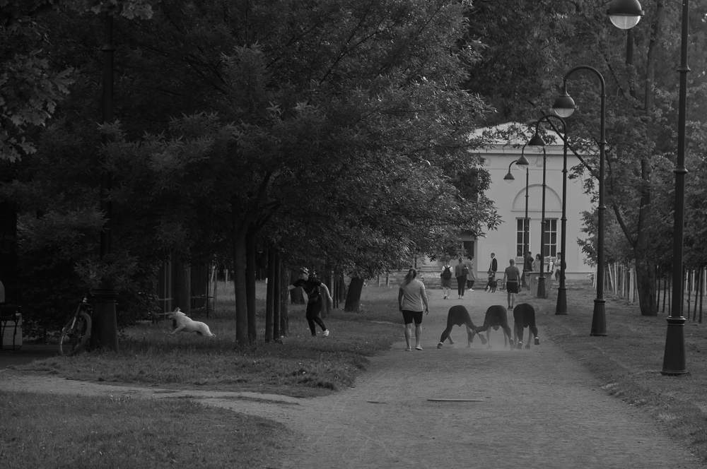 Photograph by Гарик Анисимов