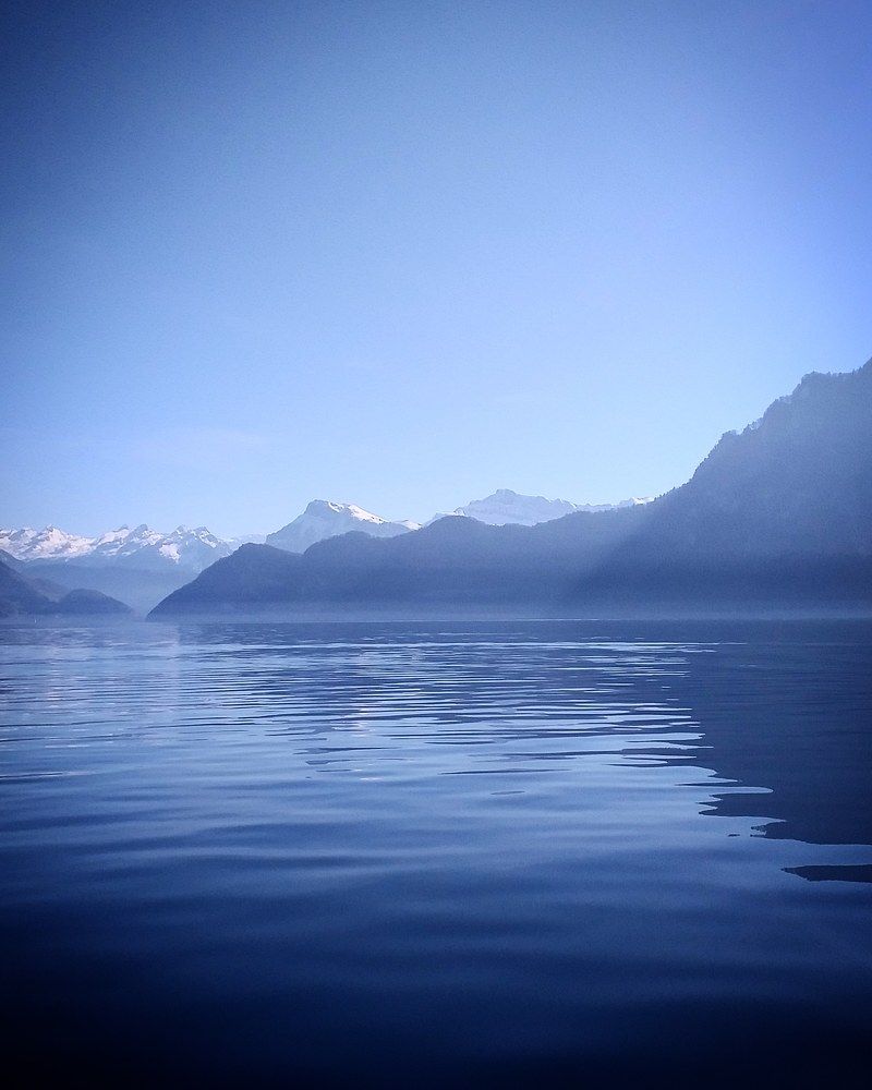 Фотография автора Elena Burgstaller