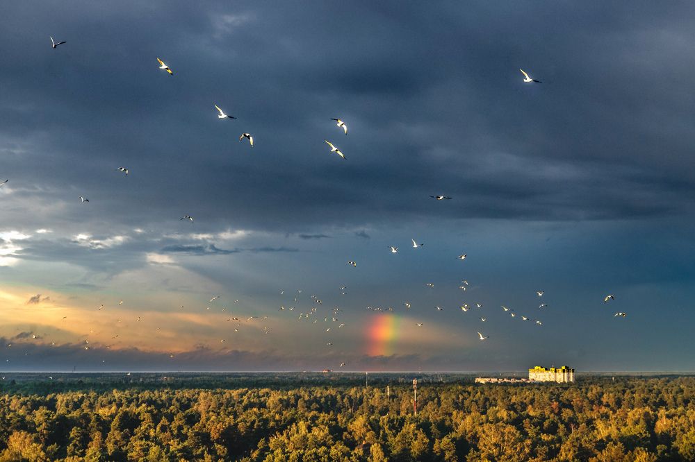 Photograph by Владислав Мотузенко