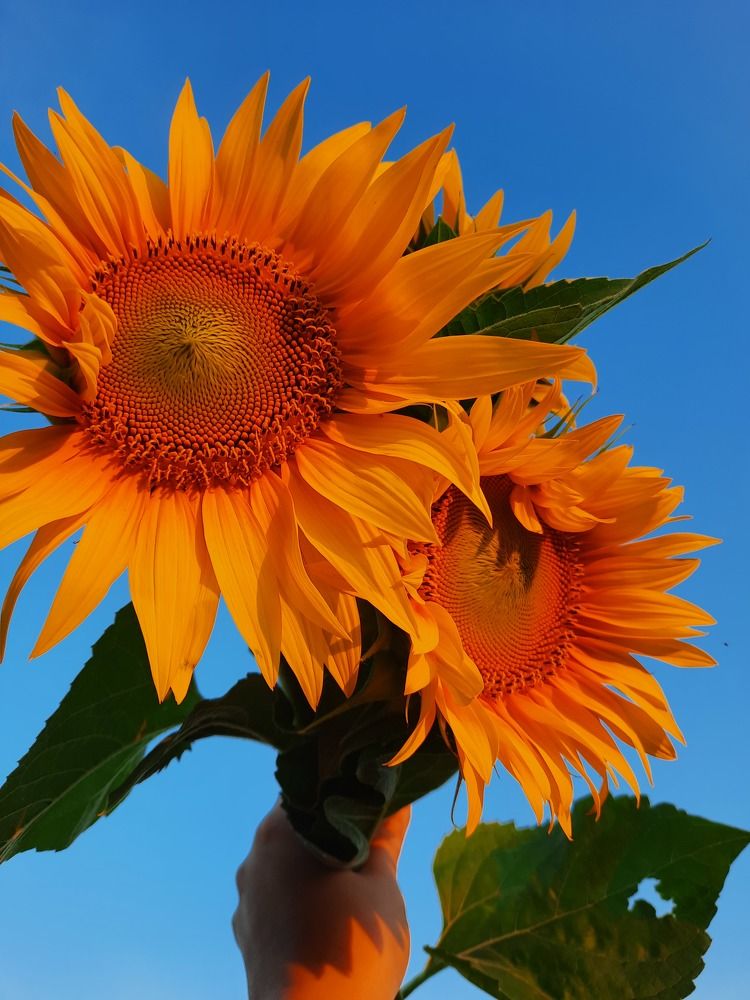 Фотография автора Татьяна