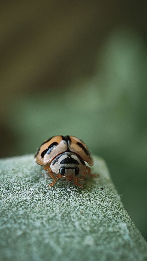 Photograph by Rajat Mandloi