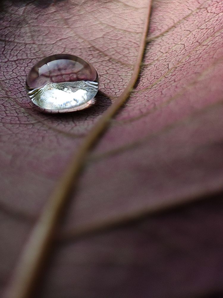 Photograph by Rajat Mandloi