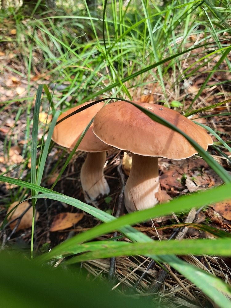 Фотография автора Татьяна