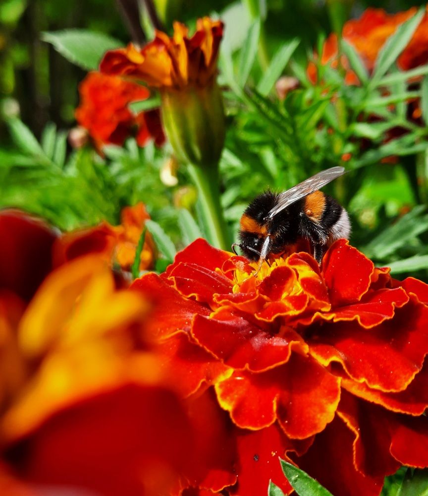 Фотография автора Татьяна