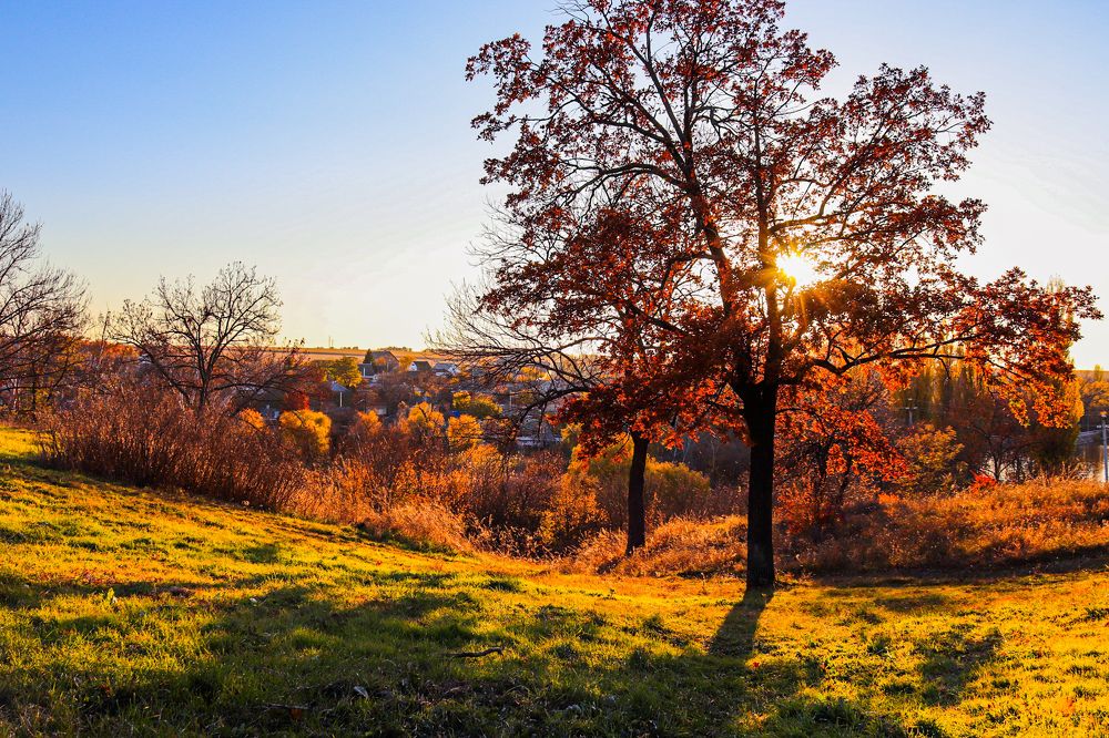 Sunny autumn