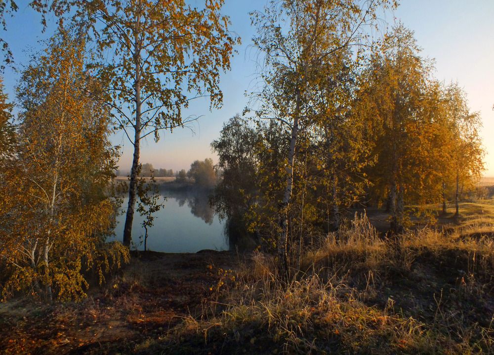 Photograph by Дмитрий Крылов