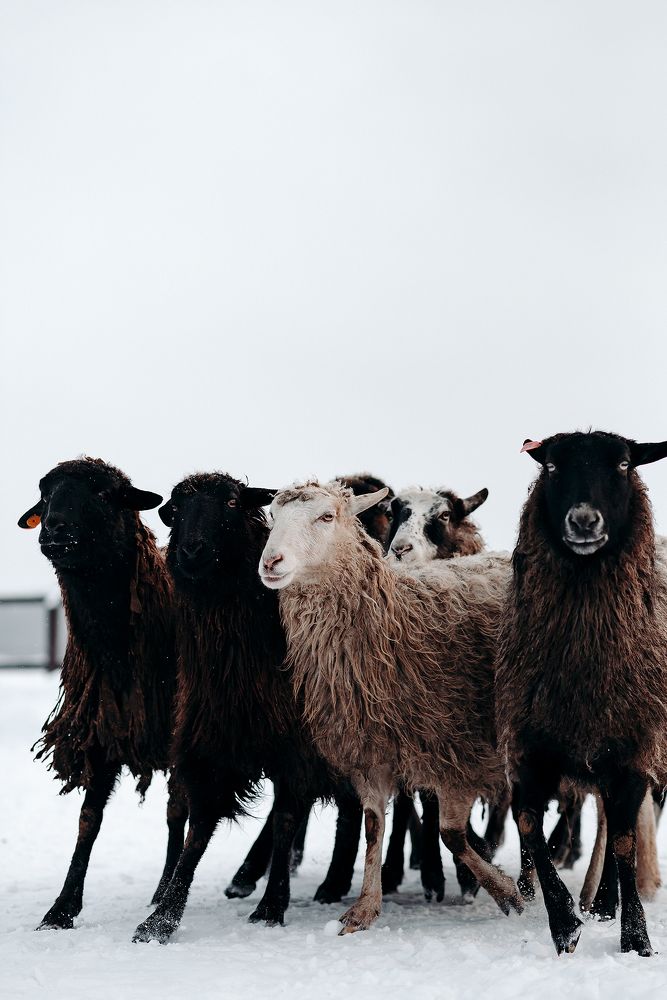 Photograph by Анастасия Пикей