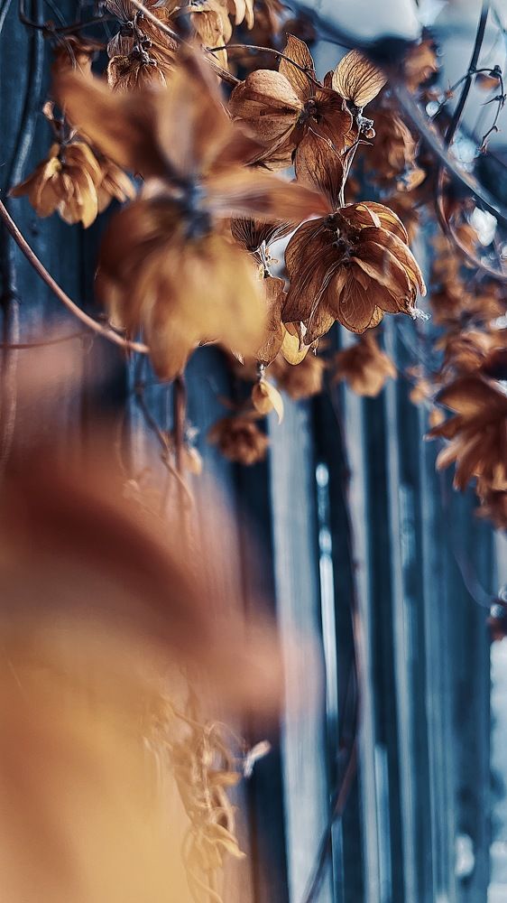 Photograph by Дарья Григорьева