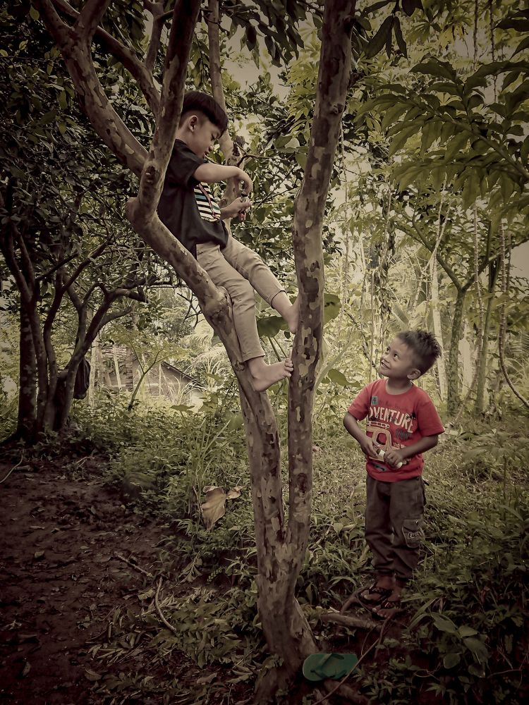 Photograph by Sugeng mamet