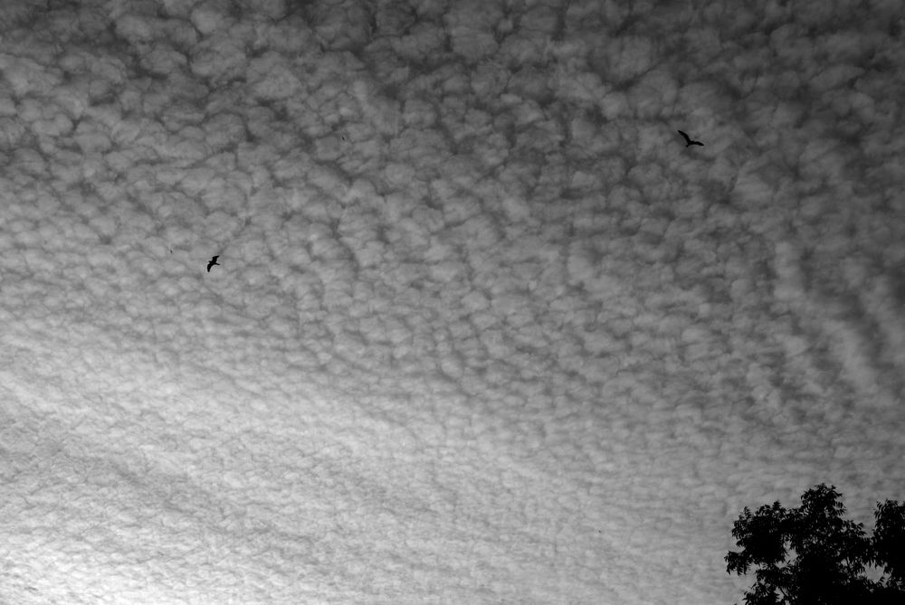 From my roof