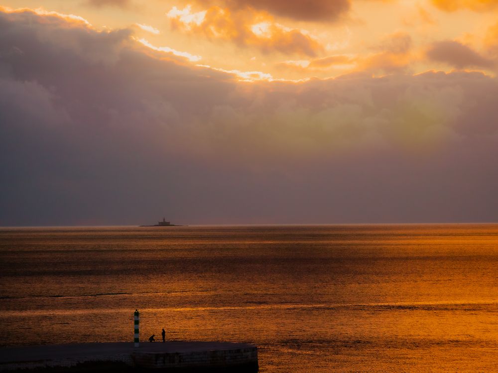 Photograph by Delfina Paulo