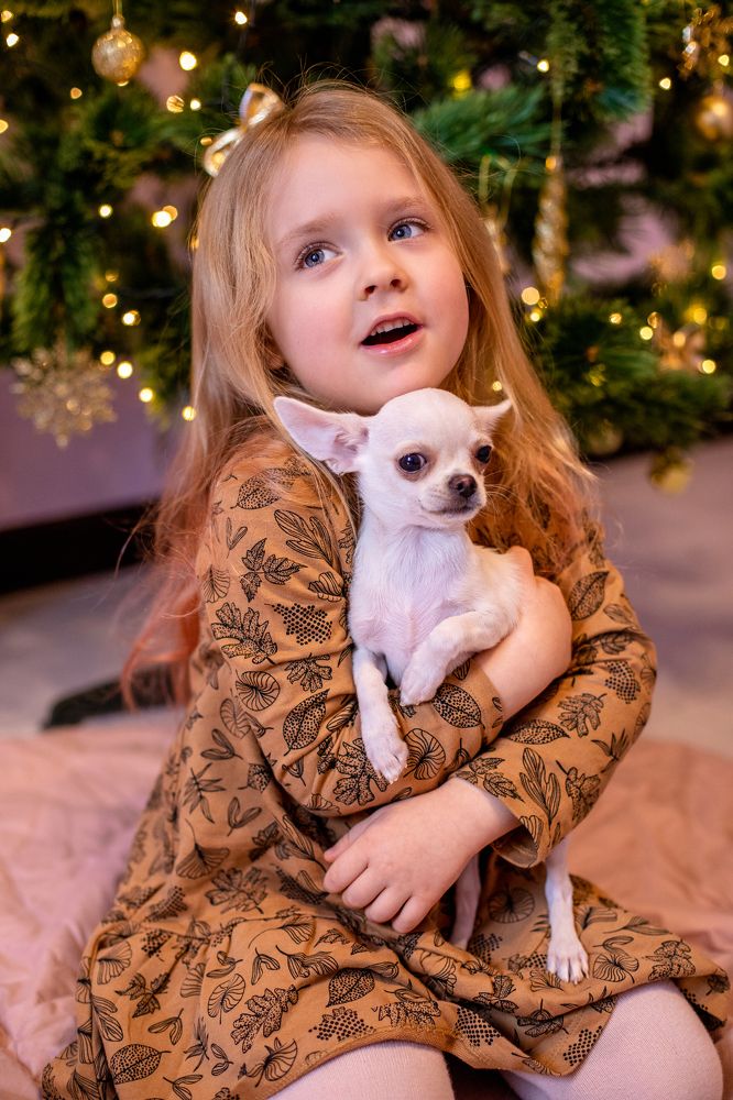 Photograph by Наташа Добрякова