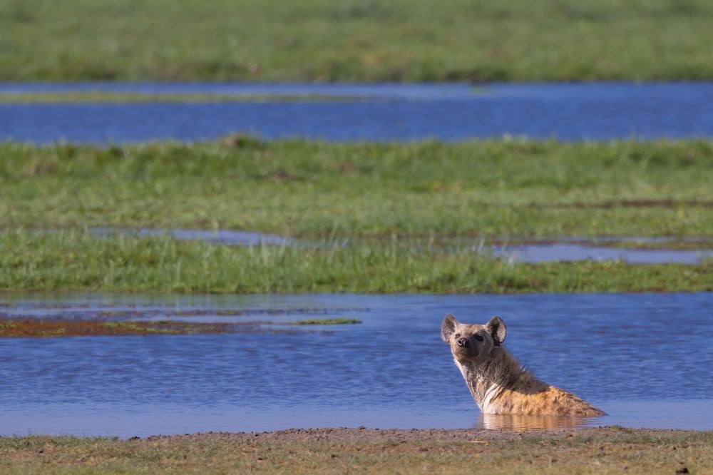 Фотография автора Subi Sridharan