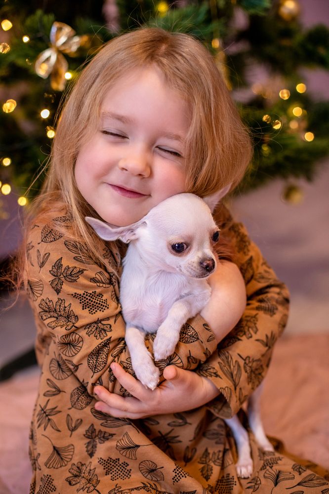 Photograph by Наташа Добрякова