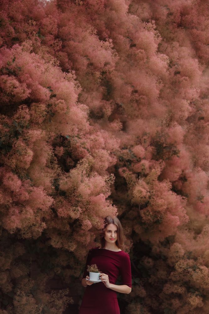 Photograph by Александра Алексеенко