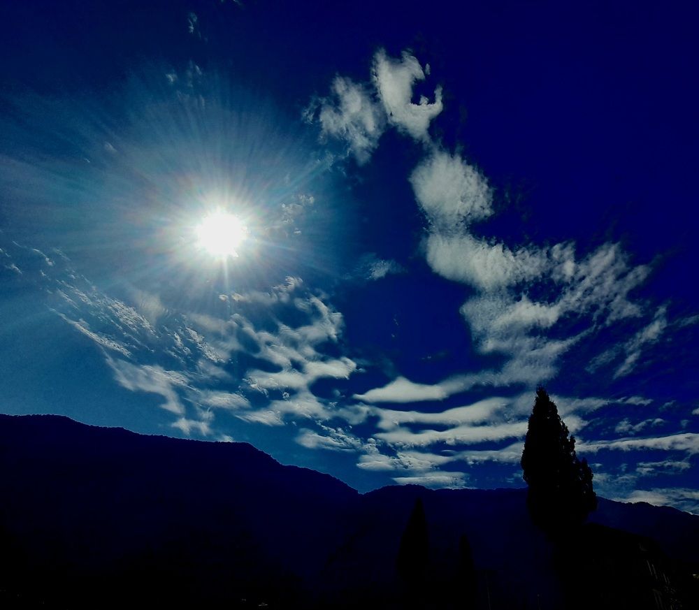 Photograph by Damcho Gyeltshen Mr.