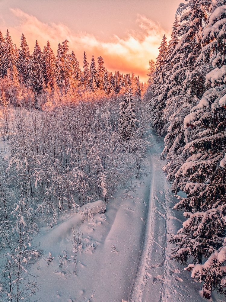 Photograph by Павел Жданов