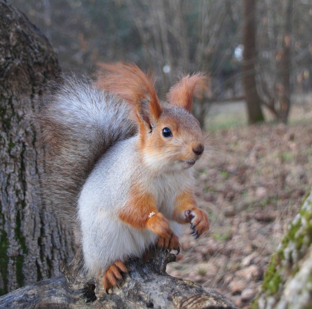 Photograph by Наталья Степаненко