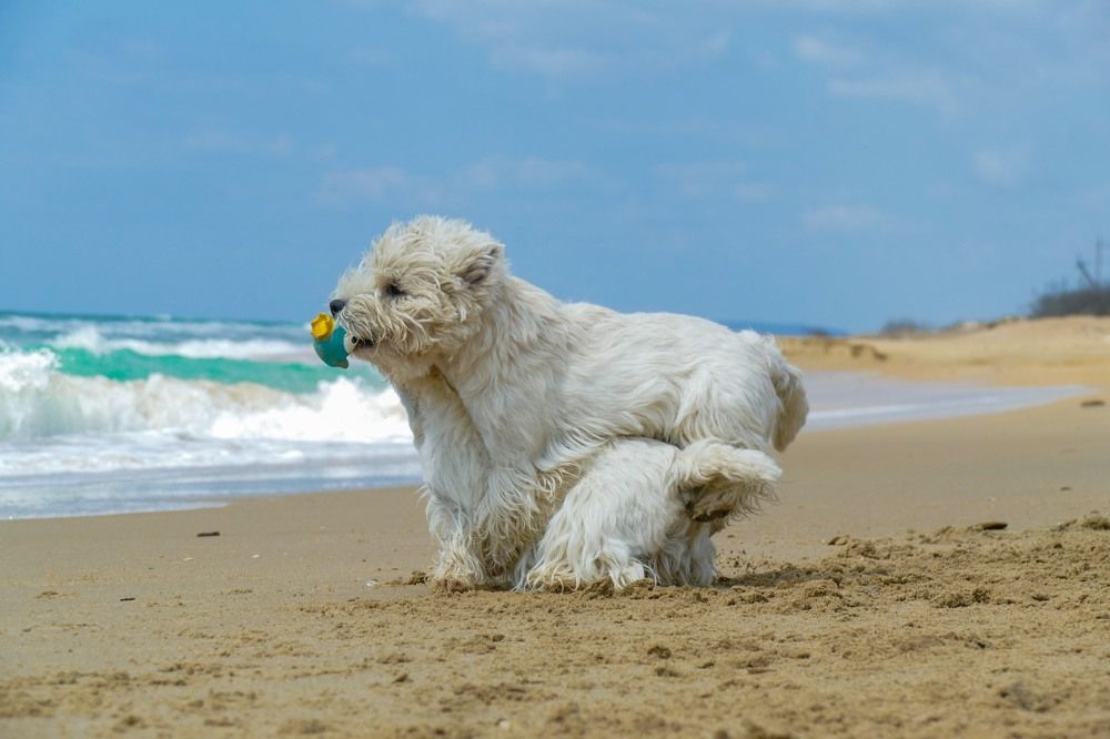 Фотография автора Юлия Воронова