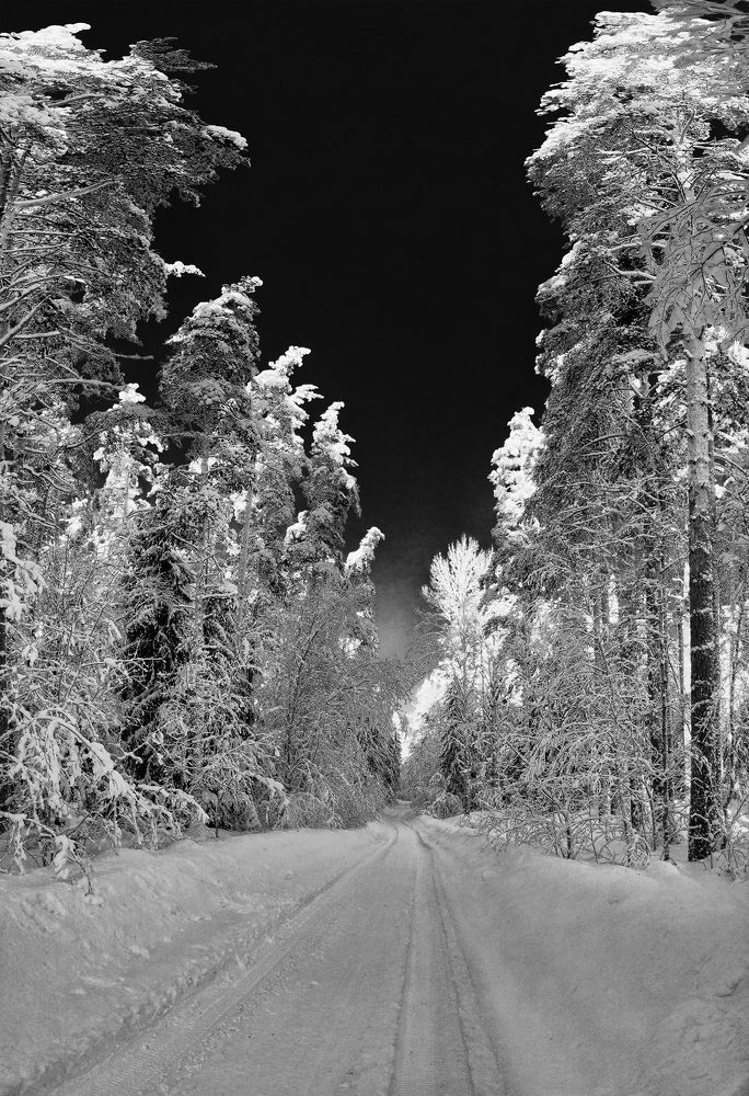 Photograph by Павел Жданов