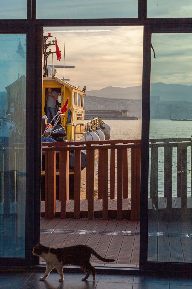 Photograph by Lutsiya Bulut