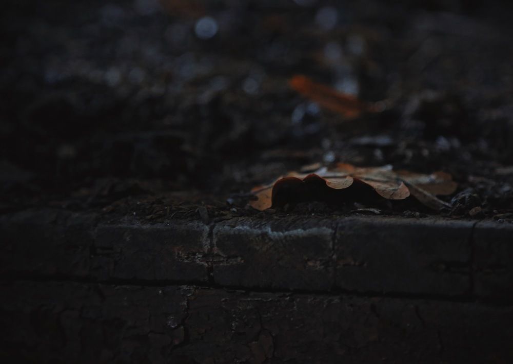 Photograph by Дарья Григорьева