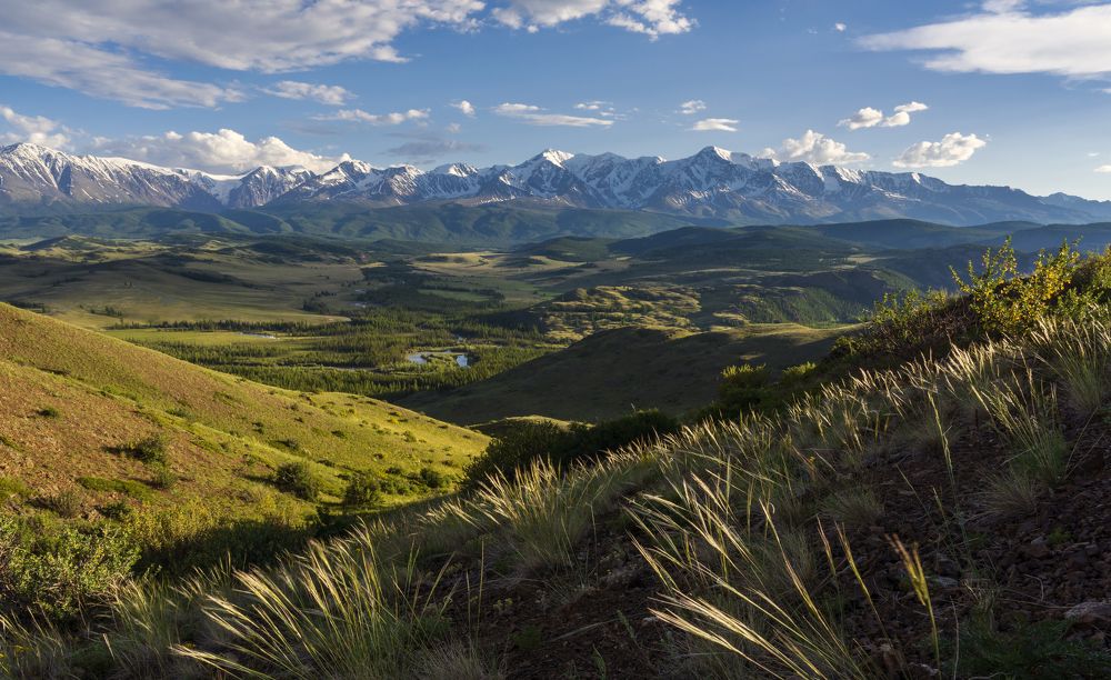 Фотография автора Олег Матроницкий