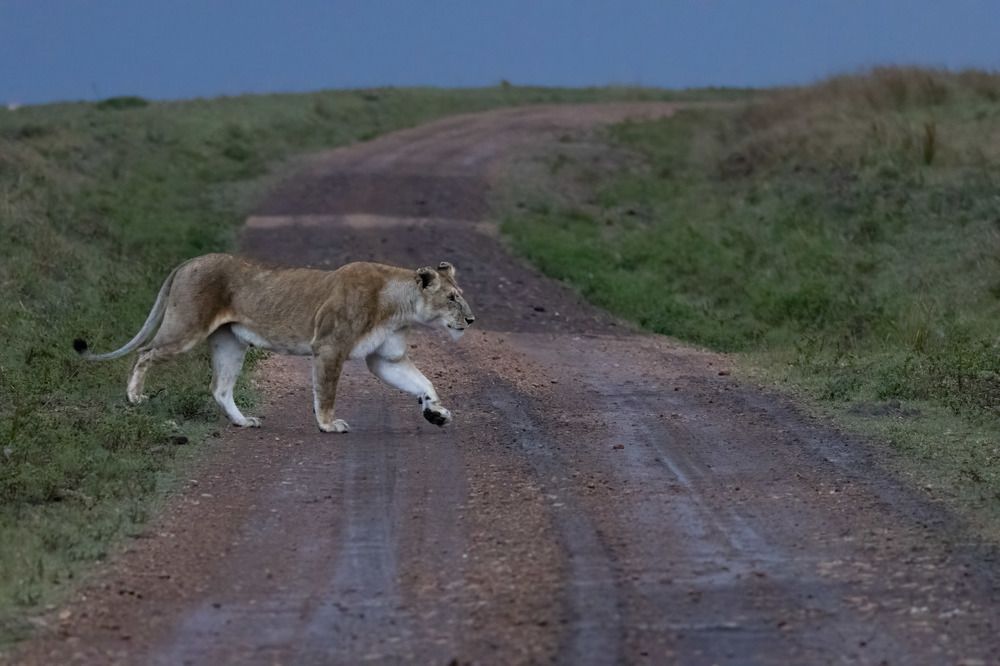 Фотография автора Subi Sridharan