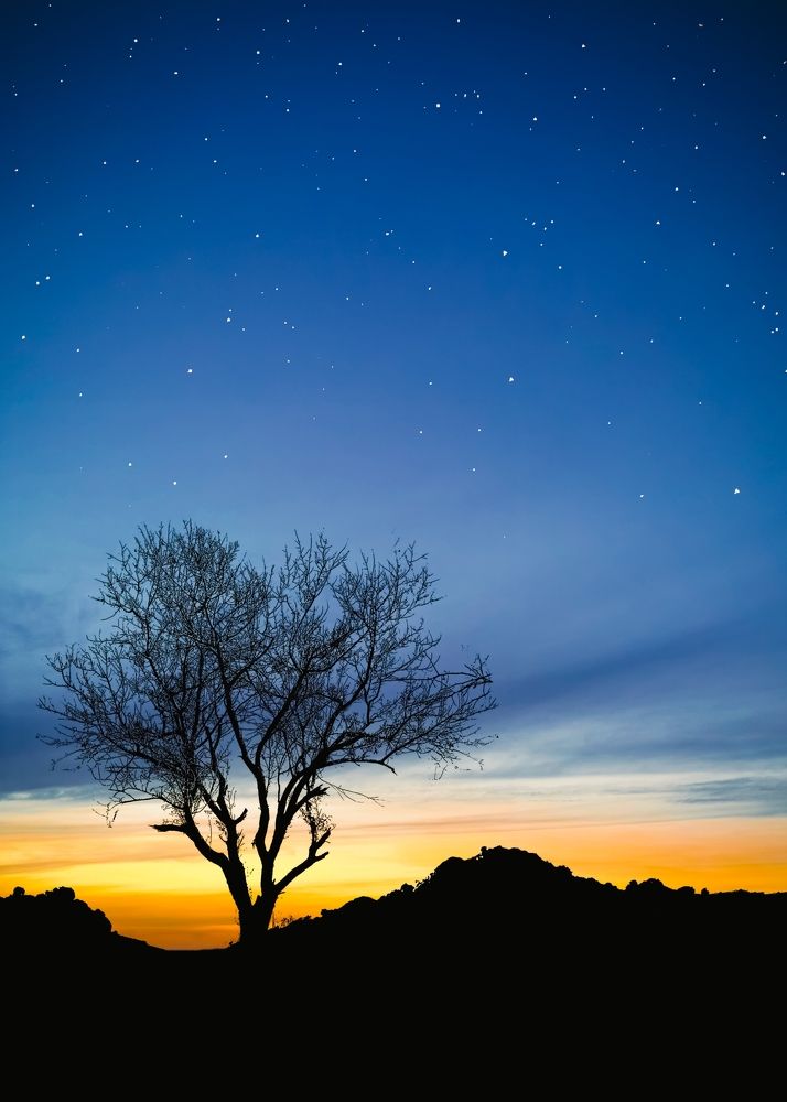 Photograph by Ahmad Shihab