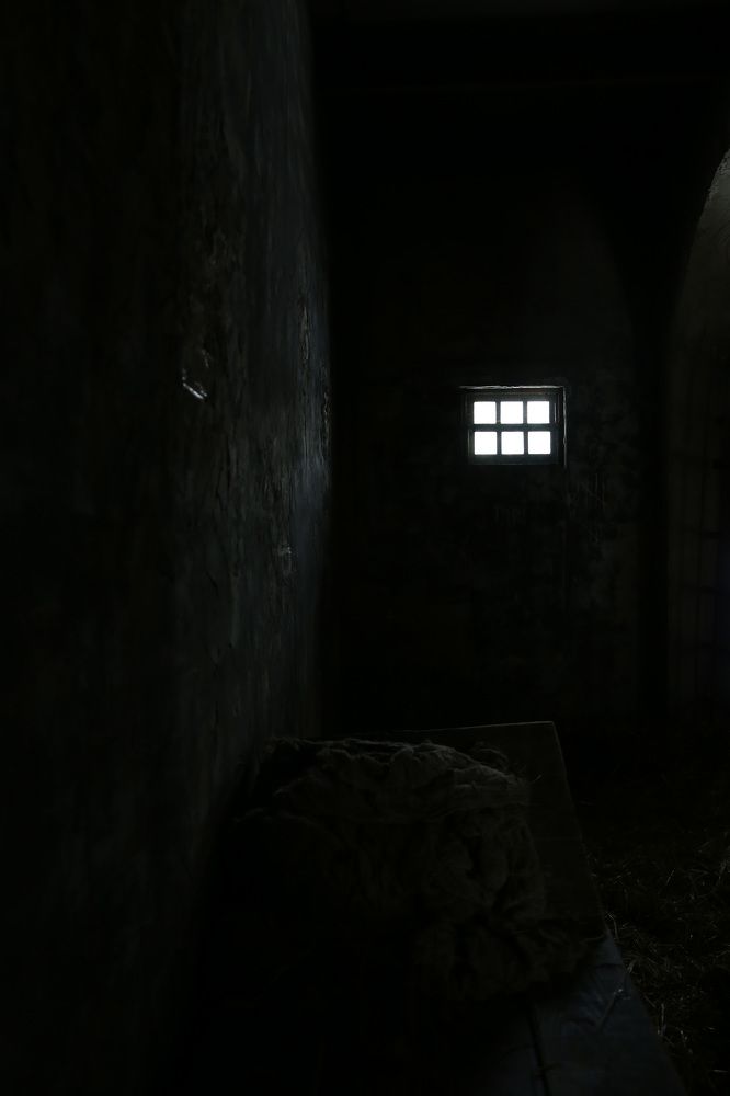 Photograph by Дарья Григорьева