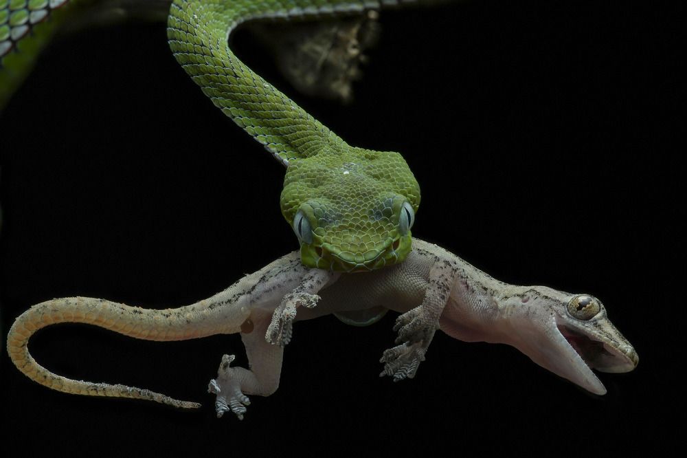 Photograph by Nghia Nguyen Huu